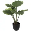 Palmier artificiel pot ciment H65cm Atmosphera Créateur D'intérieur