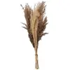 ATMOSPHERA Bouquet de Fleurs Séchées "Pampa" 58cm Naturel Beige