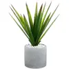 Paris Prix Aloe vera artificiel pot céramique H48cm Atmosphera Créateur D'intérieur