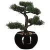 Atmosphera Plante Artificielle Jj070 36 Cm Deco Green Collection