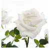 Atmosphera Plante Artificielle en Pot de Rose KRZEW, 74 cm, Rouge, Cou...