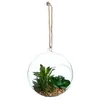 Plante artificielle en boule pot verre H17cm Atmosphera Créateur D'intérieur