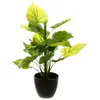 Plante artificielle pot ciment H45cm Atmosphera Créateur D'intérieur
