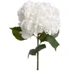 Tige d'hortensia artificiel - H83 cm - Blanc - Atmosphera createur d'interieur