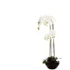 Orchidée artificielle pot céramique H115cm Atmosphera Créateur D'intérieur