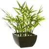 Bambou artificiel - H35 cm - Noir - Atmosphera createur d'interieur