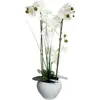 Orchidée artificielle vase céramique blanc H53cm Atmosphera Créateur D'intérieur
