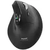 PORT Connect Ergo Auditor