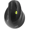 PORT Connect Professional ERGO SHAPE - Souris - rechargeable - pour dr...