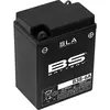 BS Battery In de fabriek geactiveerde onderhoudsvrije SLA-batterij - B38-6A