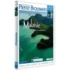 MEDIA 9 Malaisie DVD
