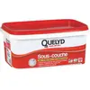 QUELYD Peinture sous-couche blanc 2.5 L