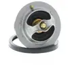 COLORSTAT TH6295.71J TERMOST.Renault PIERBURG