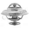 Calorstat TH6034.79 Thermostat d'eau