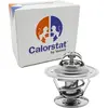 Calorstat Thermostaat koelvloeistof