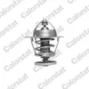 Thermostaat koelvloeistof TH629678J Calorstat by vernet