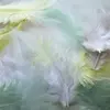 Plumes de coq assortiment pastel 20 plumes 7cm - graine créative