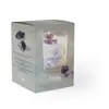 GRAINE CREATIVE Kit DIY bougie lithothérapie - Améthyste