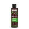 Centifolia - Shampooing Purifiant Bio - Cheveux gras 200 ml - Centifolia