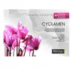 Couette Biotex Cyclamen 240 x 220 cm Blanc
