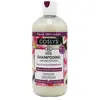 Coslys Sublime Kératine Shampoing Fleur de Lys Bio & Phytokératine 500...