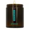 La Compagnie de Provence - Bougie Parfumée 150g - Menthe Basilic - Éne...