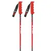 Vola Bâtons Gs Carbon Nordic Sr Sl Alu-carbone Coupe Du Monde