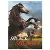SEVEN SEPT Black Beauty DVD