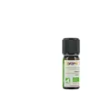 Huile essentielle Bio Niaouli