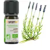 Huile essentielle Bio Lavandin
