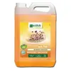 Détergent Le vrai Professionnel Brassée Sauvage 5L