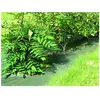 VILMORIN Toile De Paillage TissÃ©e Anti Uv 1.05m X 10 M