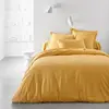 TODAY Drap Housse 140X200 2 Personnes Grand Bonnet 30 Coton Uni Ocre