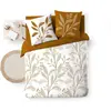Douceur dIntérieur Parure de lit MALIKA 100% coton 260x240 cm Beige - ...