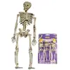 Halloween Slinger Plastic Skeletjes