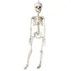 Squelette en plastique - Halloween - 40cm - Décoration originale