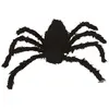 ARAIGNÉE VELUE DÉCORATIVE 160CM NOIR