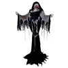 Automate Faucheuse - PTIT CLOWN - 23591 - Automate Halloween Animé Son...