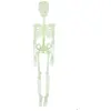Squelette Articulé Phosphorescent à Suspendre - PTIT CLOWN - 24074 - D...