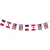 Guirlande - D.Day - 20 pavillons - PVC - 10 m - Tricolore