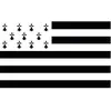 Drapeau Bretagne en tissu