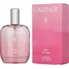 Caudalie Thé des Vignes Fragrance - 50 ml | Parfum pour femmes