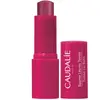 Caudalie Baume Lèvres Teinté 4.5 G
