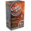 Les 3 Chênes Color & Soin Blond Foncé Cendré 6A