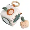 Sauthon Cube d'activités Botanica