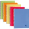 Clairefontaine-Notitieboeken-Linicolor-5-st-A4-90-vel-geruit-5x5-mm