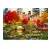 Bluebird Puzzle Central Park NYC Puzzle-F-90869