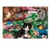 Bluebird Puzzle Puzzle Cats Puzzle-F-90030