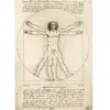 Bluebird Puzzle Leonardo Da Vinci - The Vitruvian Man, 1490 by-Bluebir...