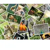 Grafika Promenade au Zoo F-33393